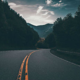 Food Delivery in WNC